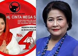 Cinta Mega Partai Apa